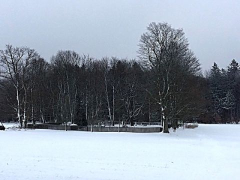 Foto 337